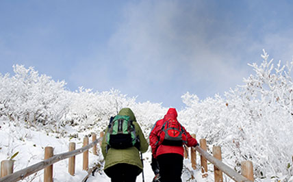 Climbing  Hallasan Mountain