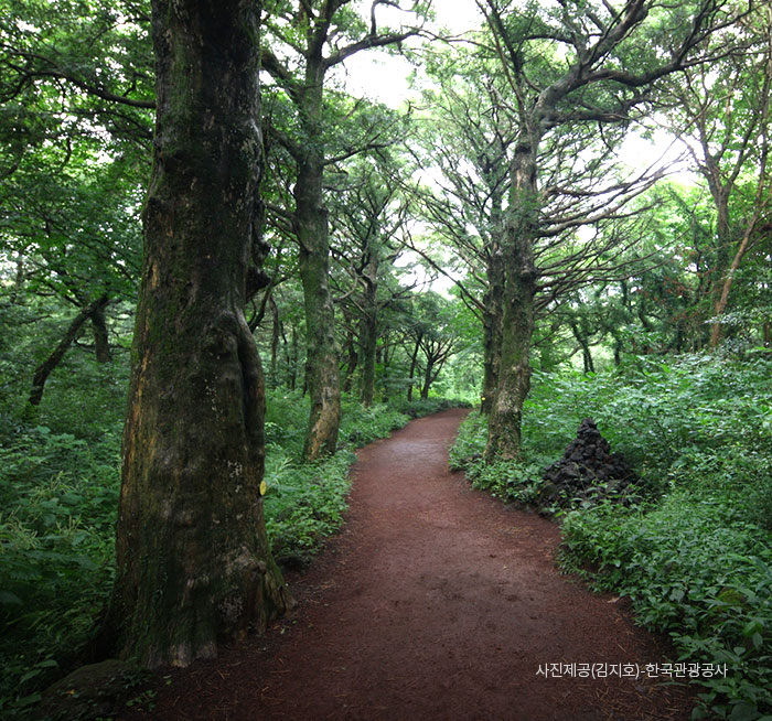 Bijarim Forest